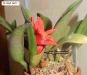 DSCN8049.JPG