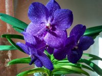 IMG_20210513_185420_HDR.jpg