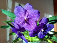 IMG_20210513_185444_HDR.jpg
