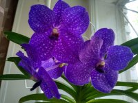IMG_20210513_190024_HDR.jpg