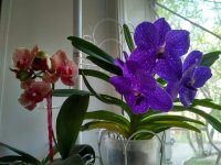 IMG_20210513_190130_HDR.jpg