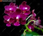 image_display.jpg