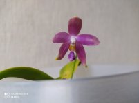 IMG_20210518_195918.jpg
