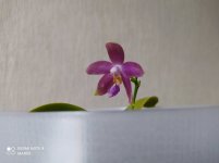 IMG_20210518_200006.jpg