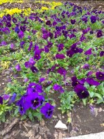 IMG_20210517_131449.jpg