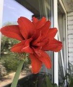40C390E7-71ED-4D3B-9245-4ED184667AEF.jpeg