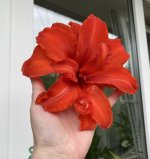 4144D0E9-57CF-4D15-AD1C-CAA30F493C60.jpeg