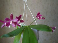 IMG_20210406_121649.jpg