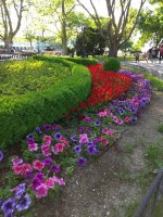 IMG_20210520_172341.jpg