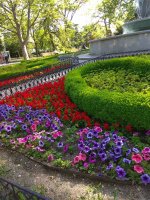 IMG_20210520_172346.jpg