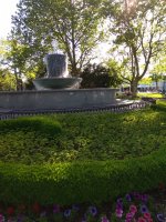 IMG_20210520_172350.jpg