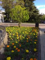 IMG_20210520_173808.jpg