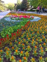 IMG_20210520_173915.jpg