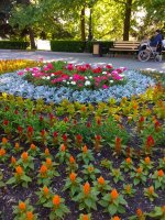 IMG_20210520_173950.jpg