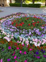 IMG_20210520_174017.jpg