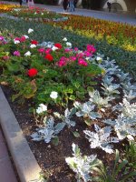 IMG_20210520_174046.jpg