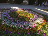 IMG_20210520_174237.jpg