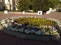 IMG_20210520_175138.jpg