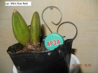 DSCN8057.JPG