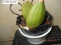 DSCN8058.JPG
