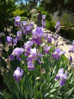 IMG_20210527_133318.jpg