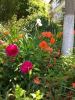 IMG_20210527_133625.jpg