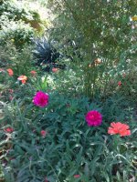 IMG_20210527_133724.jpg