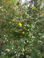 IMG_20210527_133757.jpg