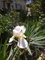 IMG_20210527_133944.jpg
