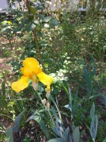 IMG_20210527_134012.jpg