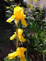 IMG_20210527_134049.jpg