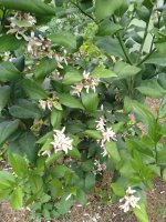 IMG_20210517_162021.jpg