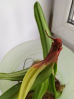 IMG_20210530_183403.jpg