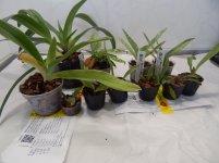 DSCN1714.JPG