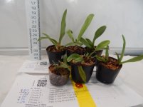 DSCN1718.JPG