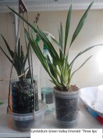 DSCN8073.JPG