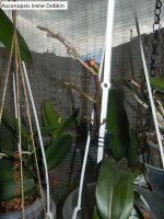 DSCN8070.JPG