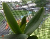 DSCN8072.JPG