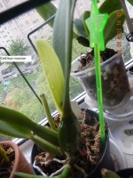 DSCN8076.JPG
