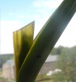 DSCN8080.JPG