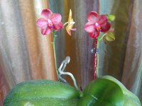 IMG_20201003_105827.jpg