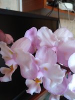 IMG_20210608_172805.jpg