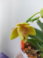 IMG20210609073306.jpg