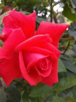 IMG_20210610_132140.jpg