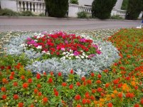 IMG_20210615_151702.jpg