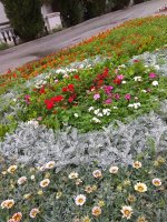 IMG_20210615_151736.jpg