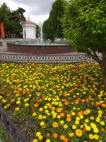 IMG_20210615_152022.jpg