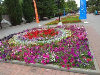IMG_20210615_151754.jpg