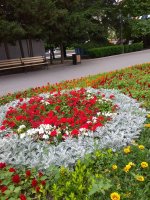 IMG_20210615_151827.jpg