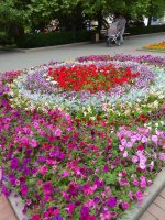 IMG_20210615_151857.jpg
